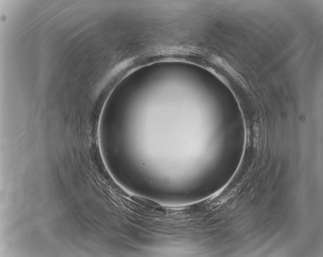 X0000060241213200510311513