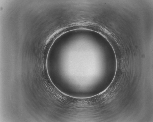 X0000060241214200510311513