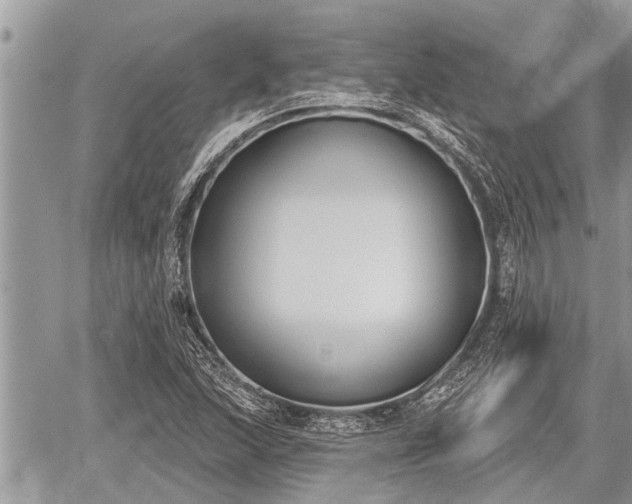 X0000060241215200510311513