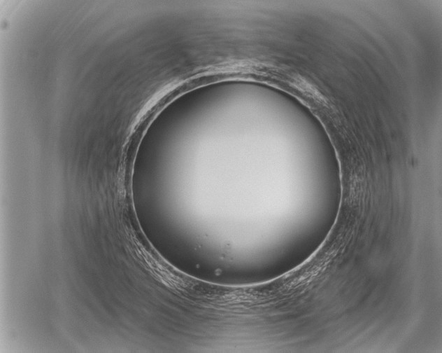 X0000060241216200510311513