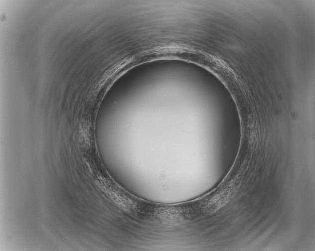 X0000060241217200510311513