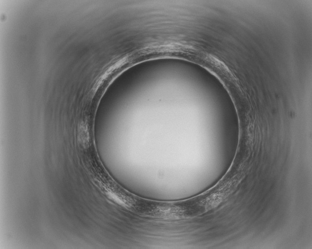 X0000060241218200510311513