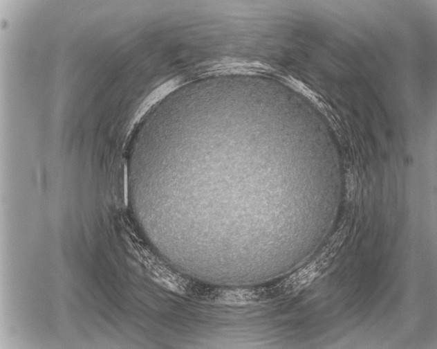 X0000060241219200510311513