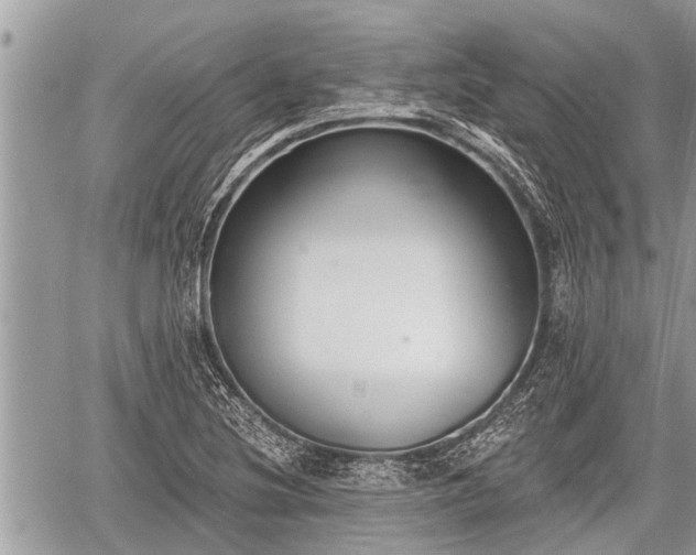 X0000060241220200510311513