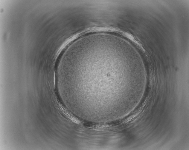 X0000060241221200510311513