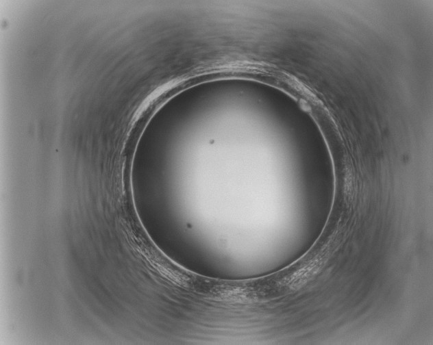 X0000060241222200510311513