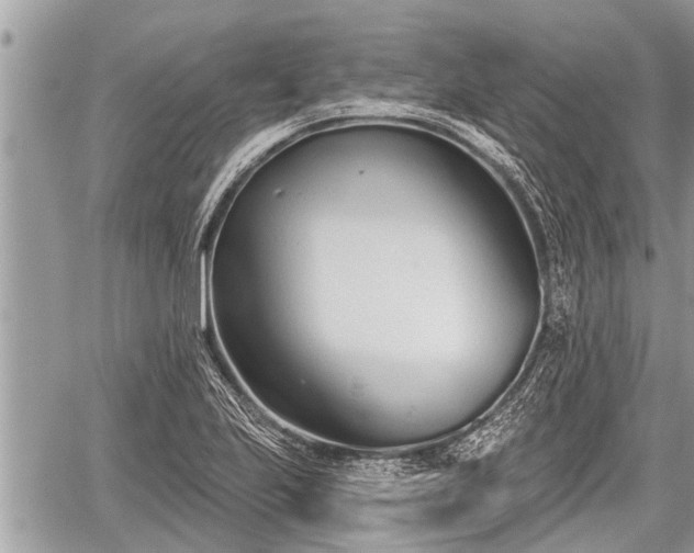 X0000060241223200510311513