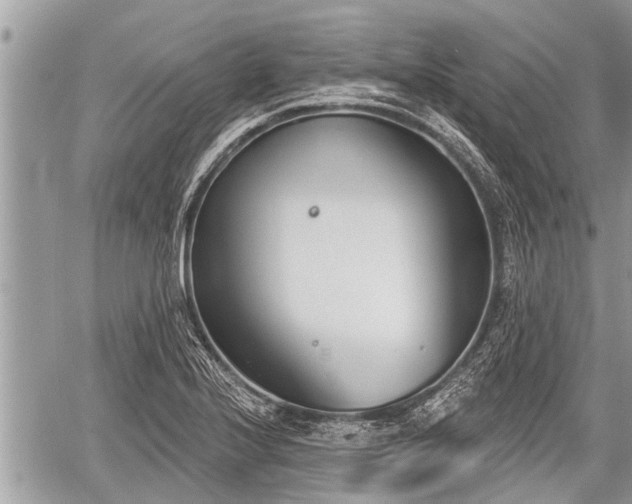 X0000060241224200510311513