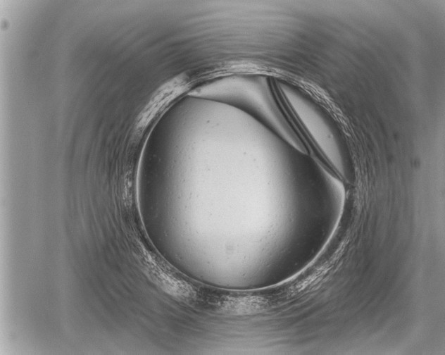 X0000060241225200510311513