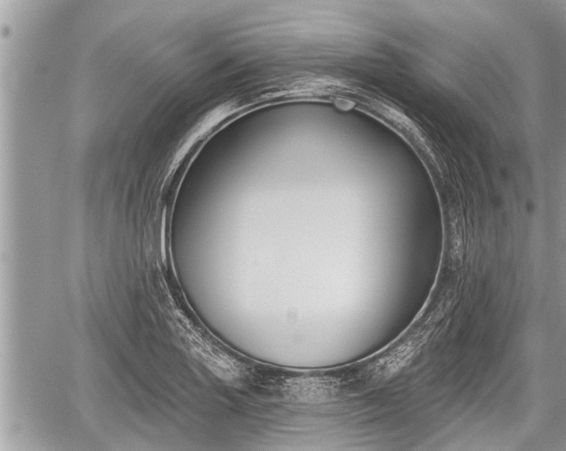 X0000060241227200510311513