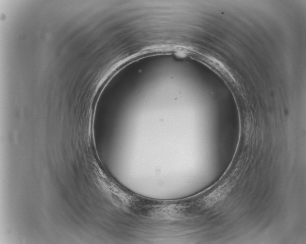 X0000060241228200510311513