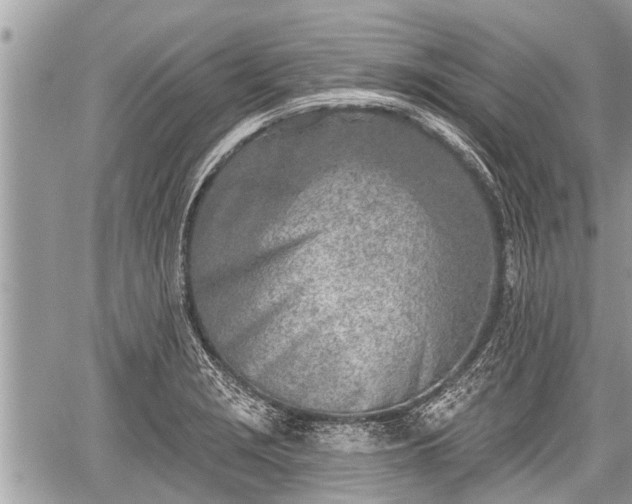 X0000060241229200510311513