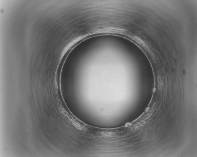 X0000060241230200510311513