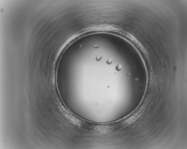 X0000060241232200510311513