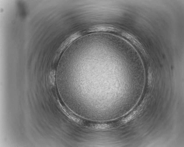 X0000060241233200510311513