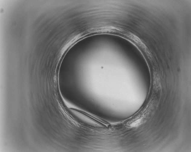 X0000060241234200510311513