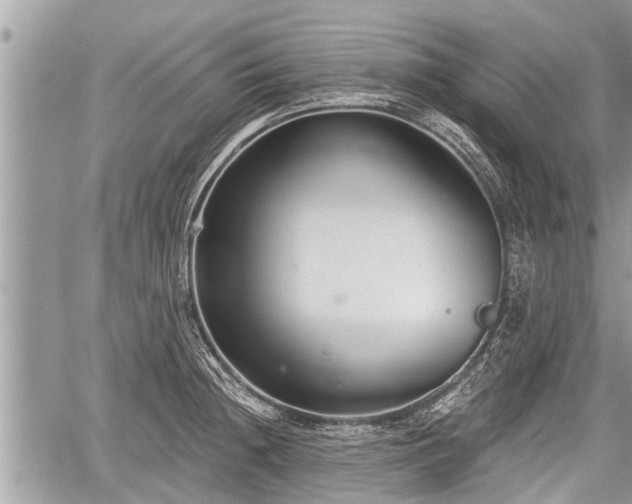 X0000060241236200510311513