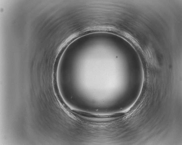 X0000060241237200510311513