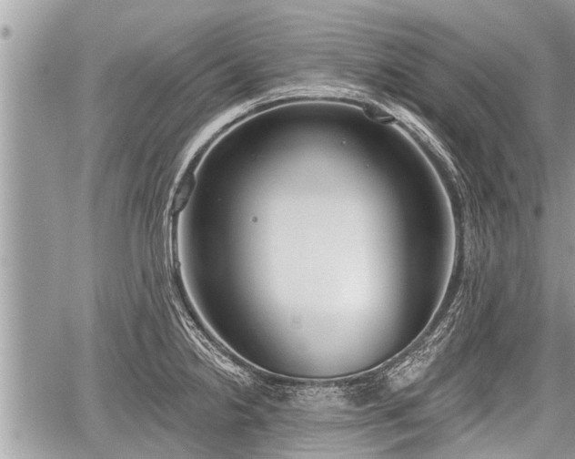 X0000060241238200510311513