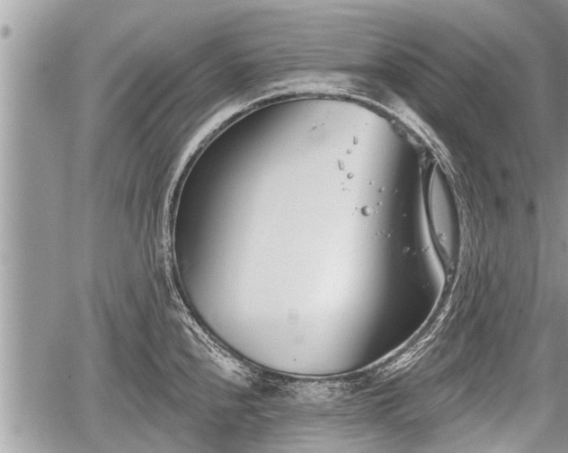 X0000060241240200510311514