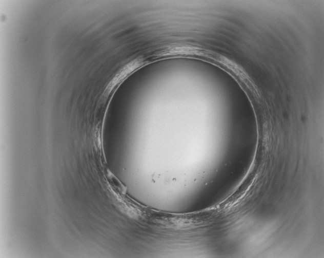 X0000060241241200510311514