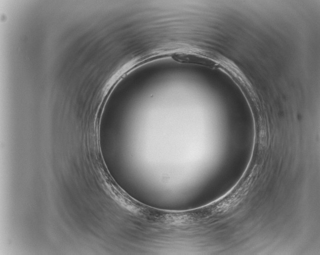 X0000060241242200510311514