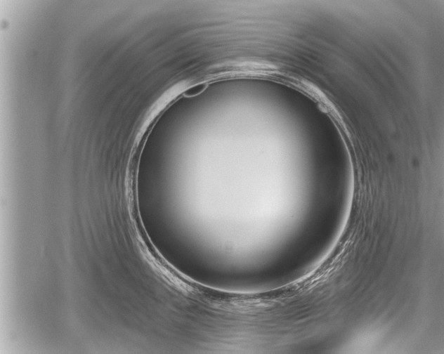 X0000060241243200510311514