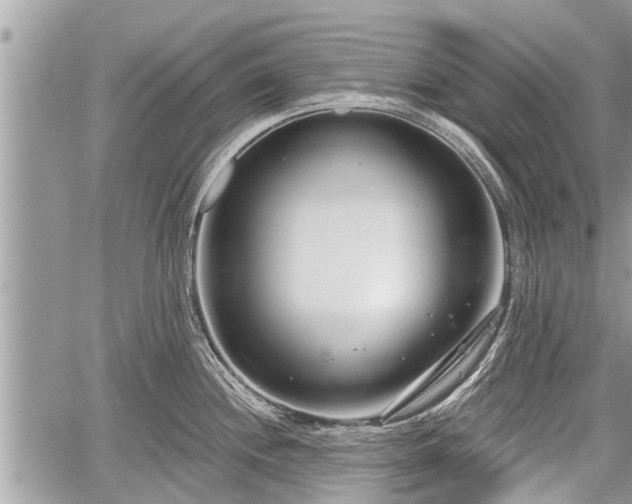 X0000060241244200510311514