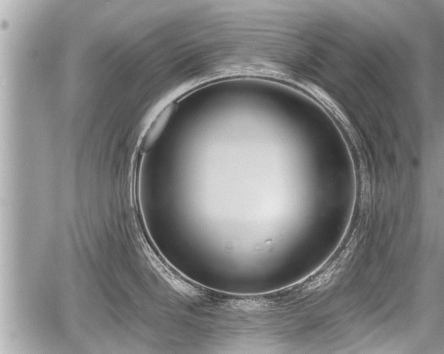 X0000060241246200510311514