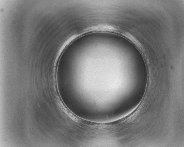 X0000060241248200510311514