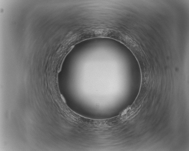 X0000060241249200510311513