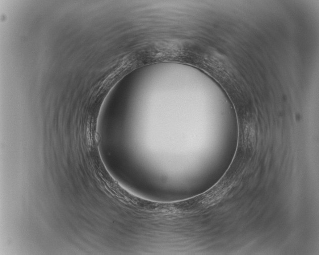 X0000060241250200510311513