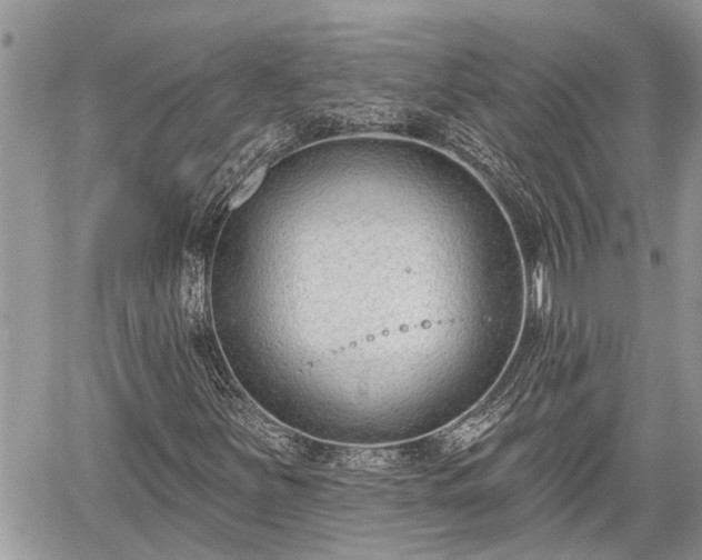 X0000060241251200510311513