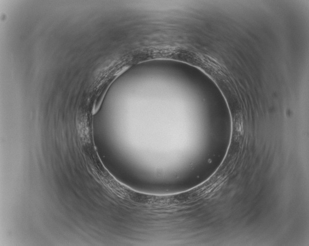 X0000060241252200510311513