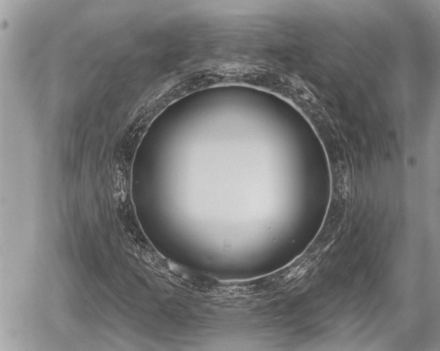 X0000060241253200510311513