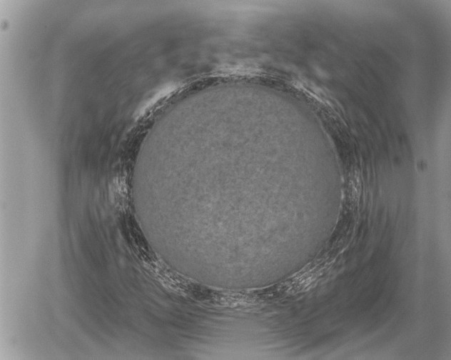 X0000060241254200510311513