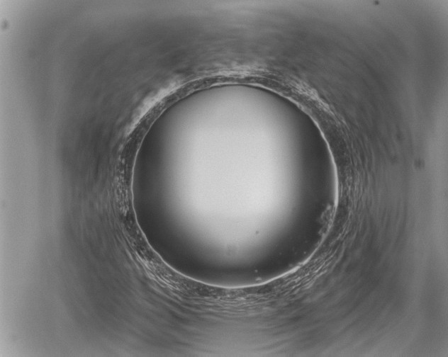 X0000060241256200510311513