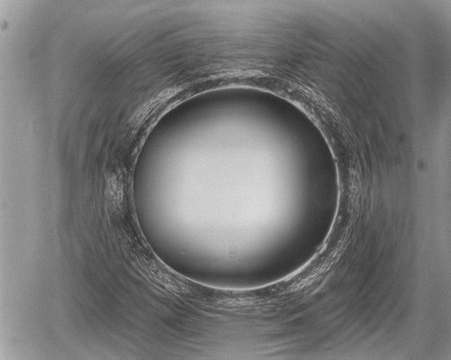 X0000060241257200510311513