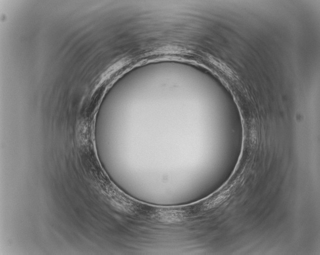 X0000060241258200510311513