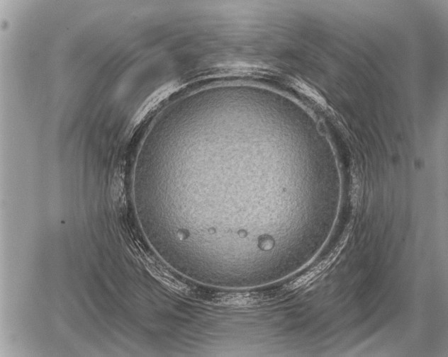 X0000060241259200510311513