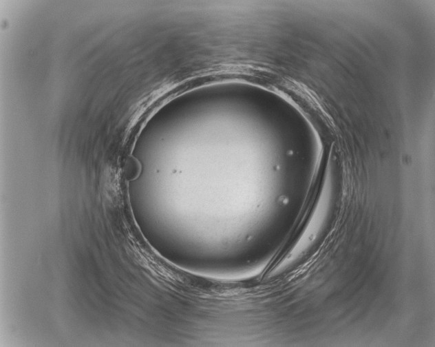 X0000060241260200510311513