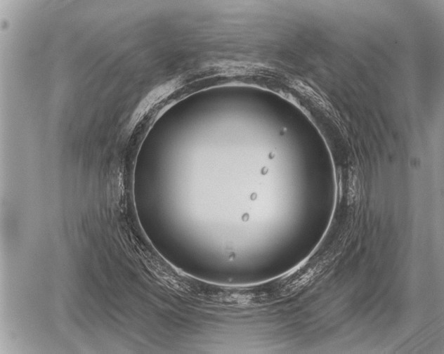 X0000060241261200510311513