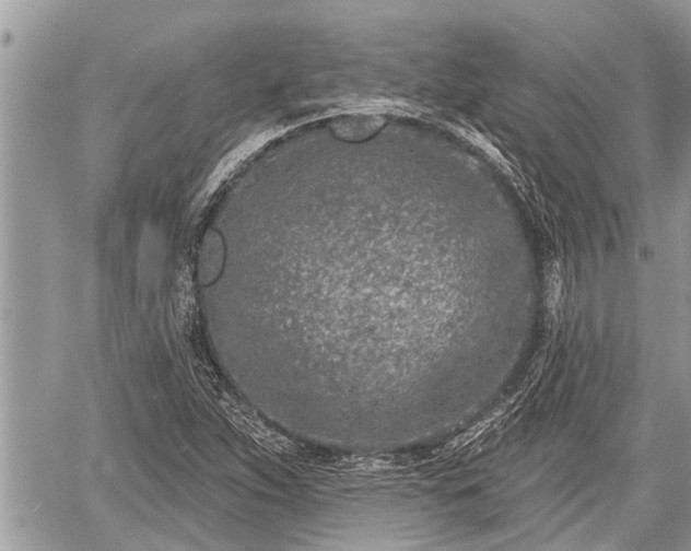 X0000060241263200510311513