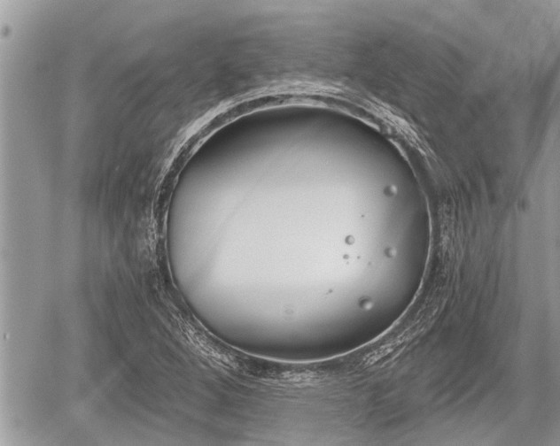 X0000060241264200510311513