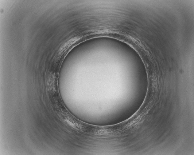 X0000060241265200510311513