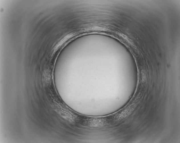 X0000060241266200510311513