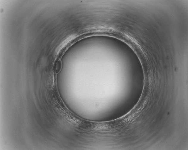 X0000060241267200510311513