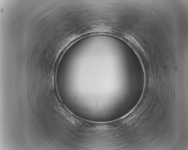 X0000060241268200510311513