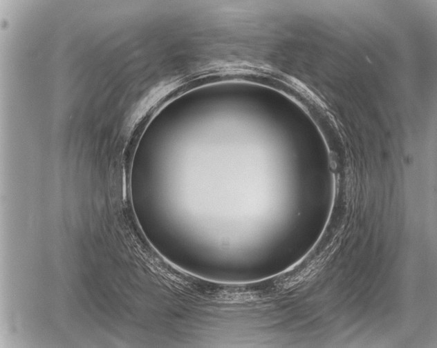 X0000060241269200510311512