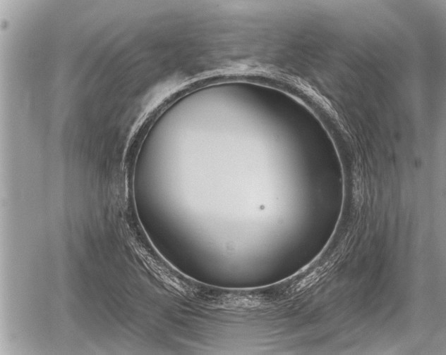 X0000060241270200510311512